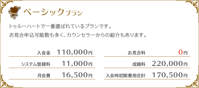 ベーシックプラン